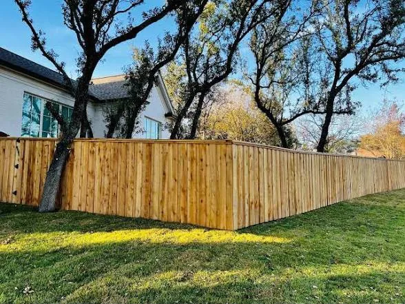 Cedar privacy fence wrapping a backyard under mature oaks